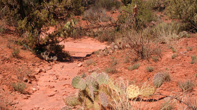 Sedona, Arizona › April 2009.